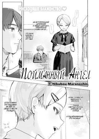 Пойманный Ангел (Tenshi o Tsukamaeta)