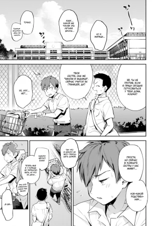 Summer Mist (Летний туман)