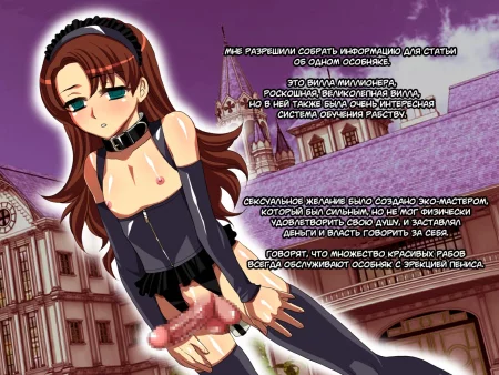 Обучение рабов-трансвеститов для дома (Josou Dorei O Ikusei Suru Otaku Houmon)